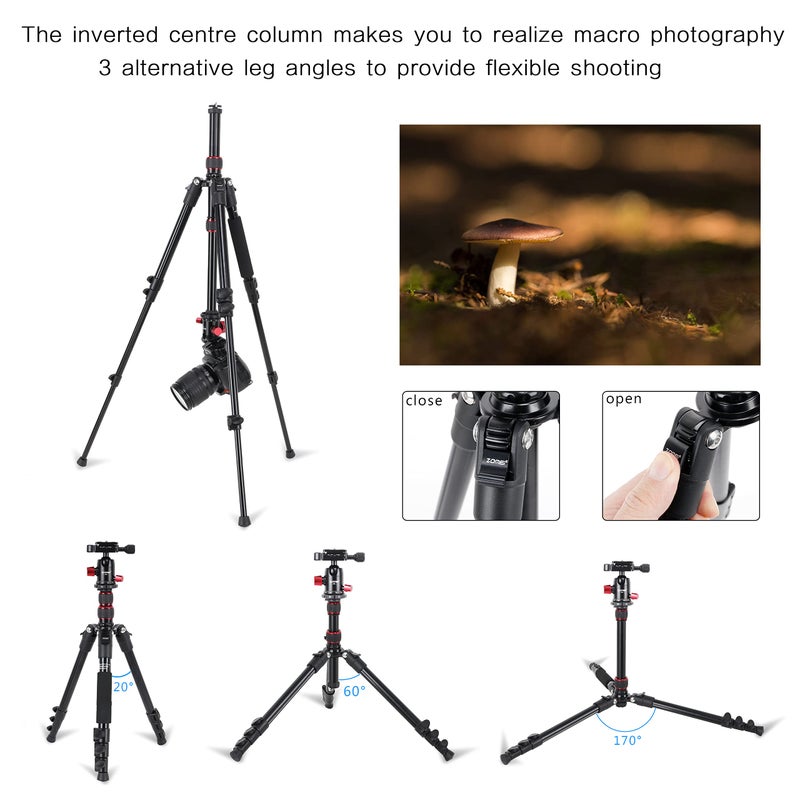 ZOMEI M5 Camera Tripod,Lightweight Travel Aluminum Tripod Monopod Compact Portable Photography Tripod Stand with 360 Degree Ball Head and Phone Clip for DSLR Cameras, Smartphone - Image 2